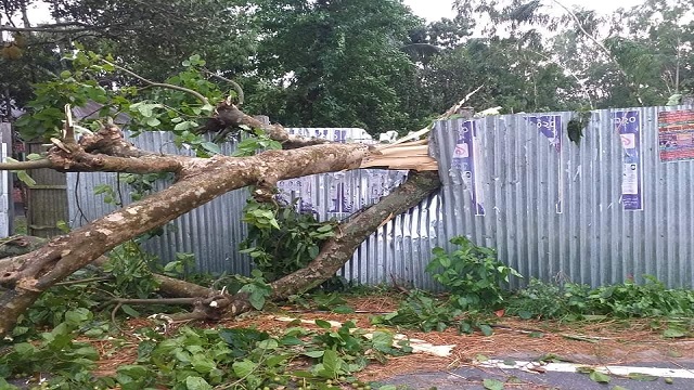 সাঘাটায় ঘূর্ণিঝড়ে বাড়ি-ঘর, গাছপালা ফসলের ব্যাপক ক্ষতি