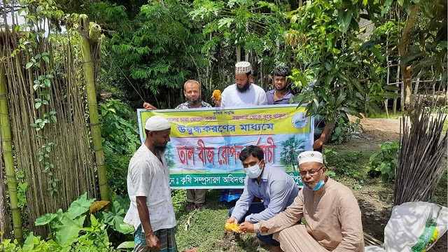 মাদারীপুরের কালকিনিতে বজ্রপাত ঠেকাতে তালের বীজ রোপন