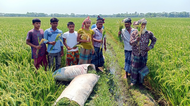 “আধা ঘন্টার গরম বাতাসে আমার সব শেষ” - কৃষক সুবরণ
