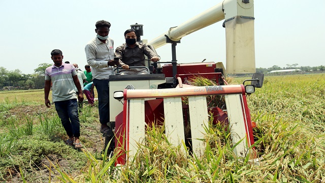  দরিদ্র কৃষকদের ধান কেটে দিল বাপার্ড