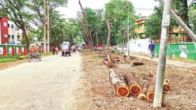 কুষ্টিয়া সড়ক সংস্কারে কাটা হচ্ছে দুই শতাধিক গাছ