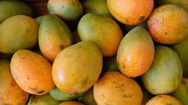 ভাল আম চেনার উপায়!