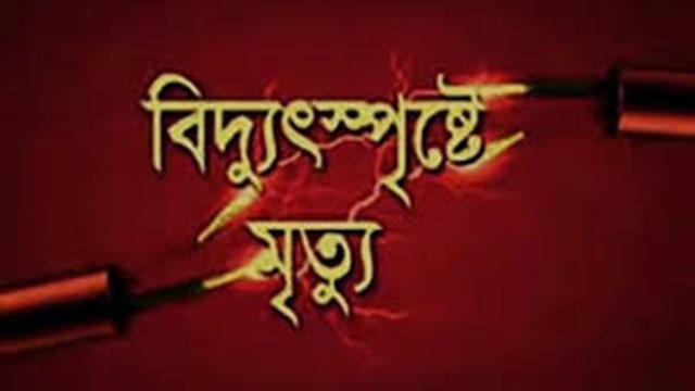 সাতক্ষীরায় মাছের ঘেরে বিদ্যুৎস্পৃষ্টে এক শ্রমিক নিহত