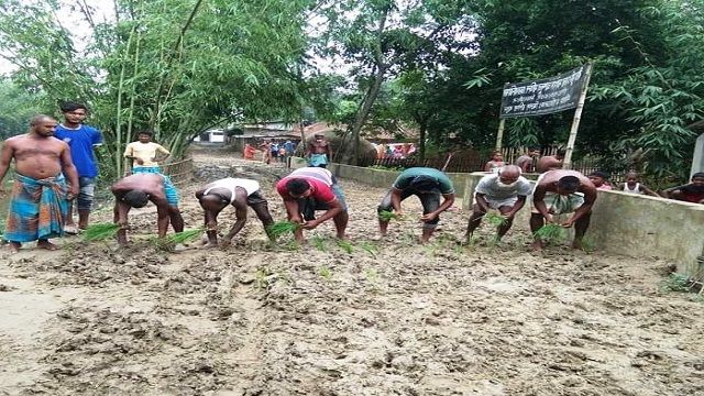 বেহাল সড়কে ধানের চারা রোপণ করে প্রতিবাদ