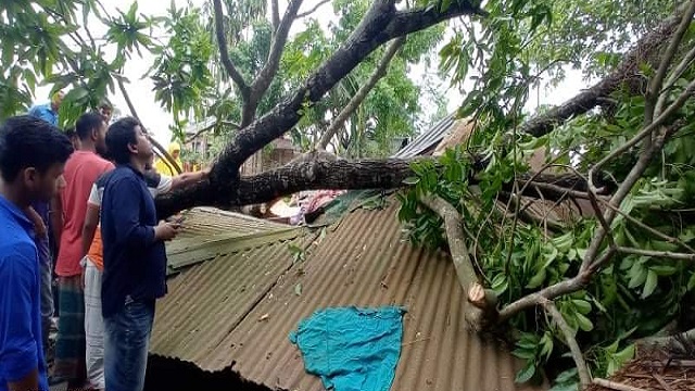 নীলফামারীতে গাছচাপায় স্বামী-স্ত্রীর মৃত্যু