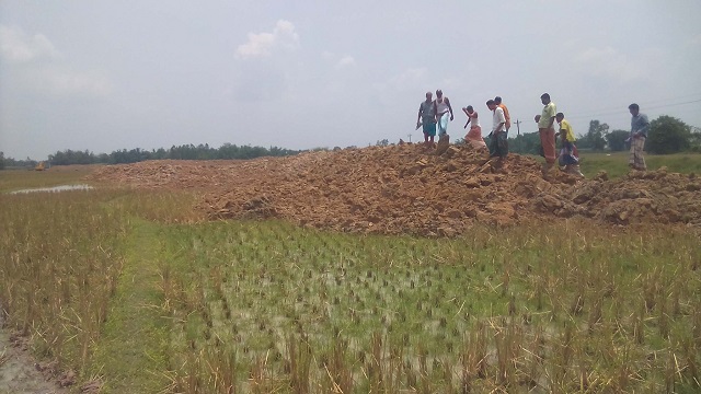পার্বতীপুরে আবাদী জমির ক্ষতি করার অভিযোগে কৃষকের গণস্বাক্ষর