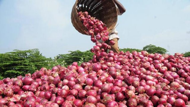 কমছে পেঁয়াজের দাম