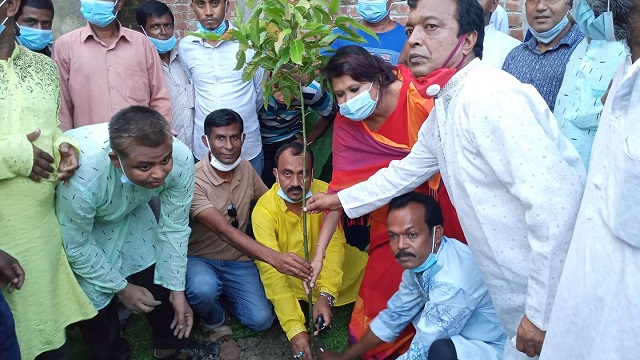 পলাশবাড়ীর কিশোরগাড়ী ও মহদীপুর ইউনিয়নে বৃক্ষরোপন কর্মসূচীর উদ্বোধন