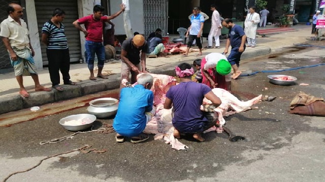 নির্ধারিত স্থানে না গিয়ে গলিতে কোরবানি