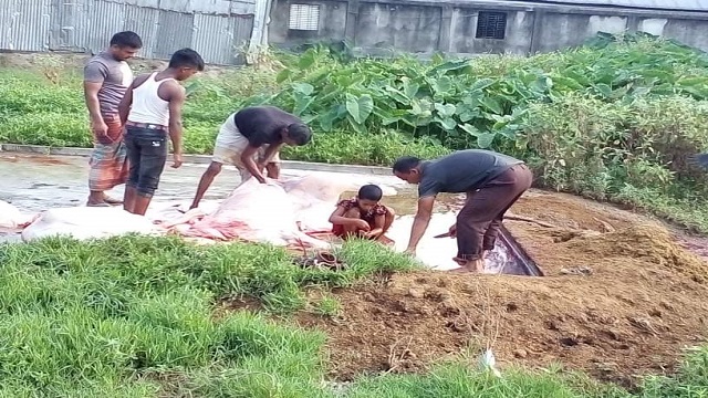 সৈয়দপুরে স্বাস্থ্য পরীক্ষার ছাড়াই পশু জবাই : হুমকির মুখে জনস্বাস্থ্য