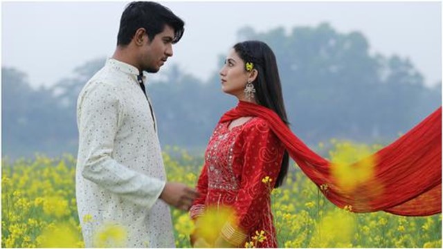 ভিকি জাহেদের গল্পে তৌসিফ-সাফা
