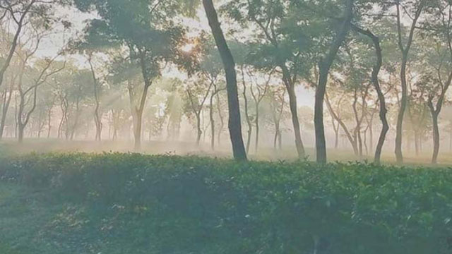 দেশের সর্বনিম্ন তাপমাত্রা শ্রীমঙ্গলে