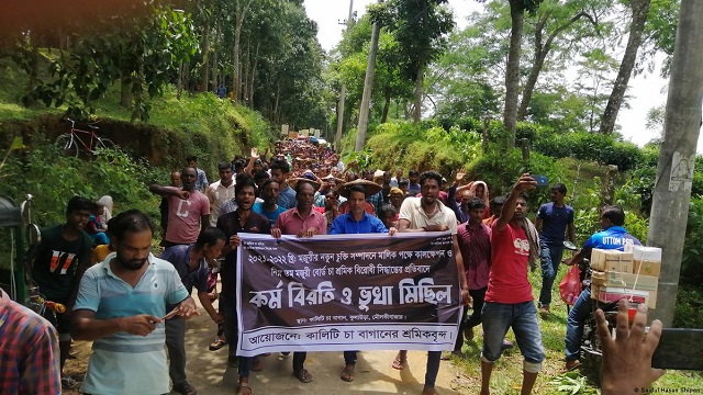 আজ চা-বাগান মালিকদের সঙ্গে প্রধানমন্ত্রীর বৈঠক 