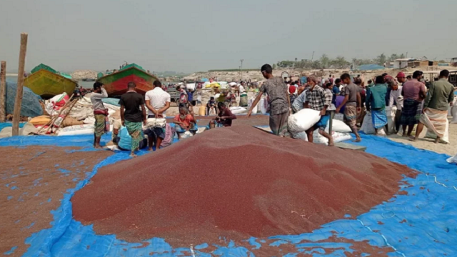 প্রতি মণ সরিষা ৩,৮০০ টাকায় বিক্রি, এতে খুশি চাষিরা