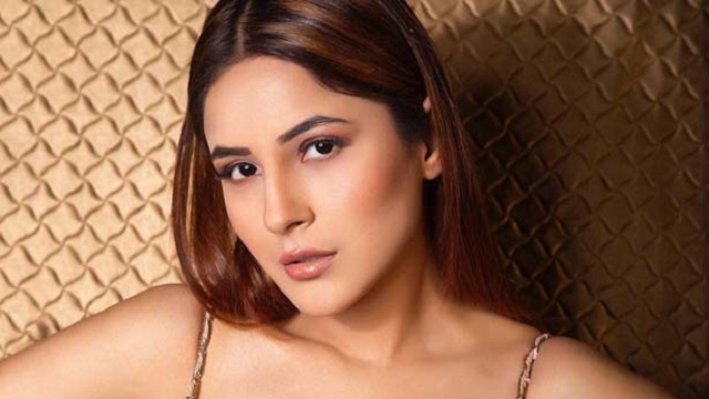 নতুন করে কার প্রেমে মজলেন শেহনাজ!