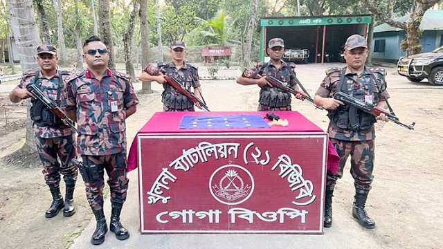 বিজিবির অভিযানে ১২টি স্বর্ণের বার উদ্ধার