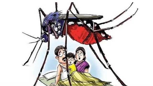 ডেঙ্গুতে আরও ১১ জনের মৃত্যু, হাসপাতালে ভর্তি ২৯৪৪, কবে কমবে ডেঙ্গু আগ্রাসন?
