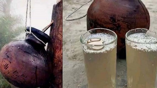 খেজুর কাঁচা রস পানে সর্বাত্মক সতর্ক থাকার পরামর্শ