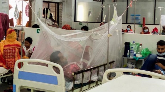দেশে আরও ২১৩ ডেঙ্গু রোগী হাসপাতালে ভর্তি