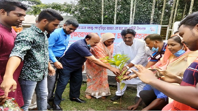 মুকসুদপুরে বৃক্ষরোপন ও গাছের চারা বিতরণ 