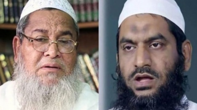 হেফাজতের আমীর বাবুনগরী, বাদ পড়লেন মামুনুল হক