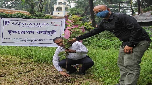 রামগতিতে পালিত হলো বৃক্ষরোপন কর্মসূচী