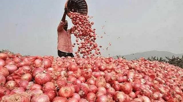 পেঁয়াজে ঝাঁজ কেবল বাড়ছেই, কবে থামবে জানা নেই 