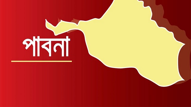 পাবনার ইশ্বরদীতে কুকুরের কামড়ে হাসপাতালে ১৫ শিশু