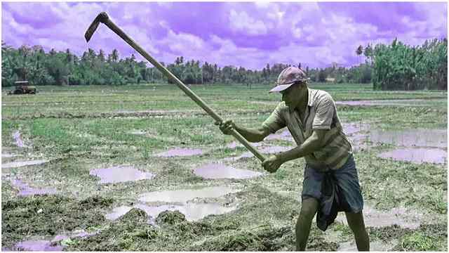 খাদ্য উৎপাদন বাড়াতে চাষাবাদ শুরু; লঙ্কান সেনাবাহিনী