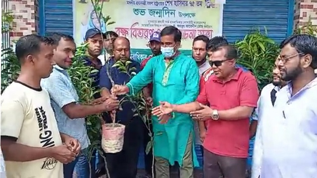 প্রধানমন্ত্রীর জন্মদিনে সুনামগঞ্জে গাছের চারা বিতরণ