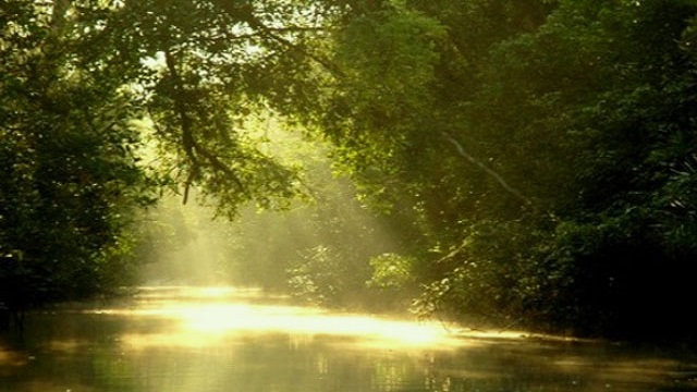 উন্মুক্ত সুন্দরবনে নেই পর্যটক
