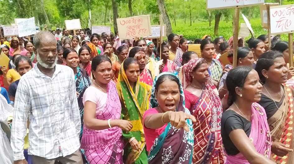 প্রধানমন্ত্রী শেখ হাসিনার আশ্বাসে চা-শ্রমিকদের ধর্মঘট প্রত্যাহার 