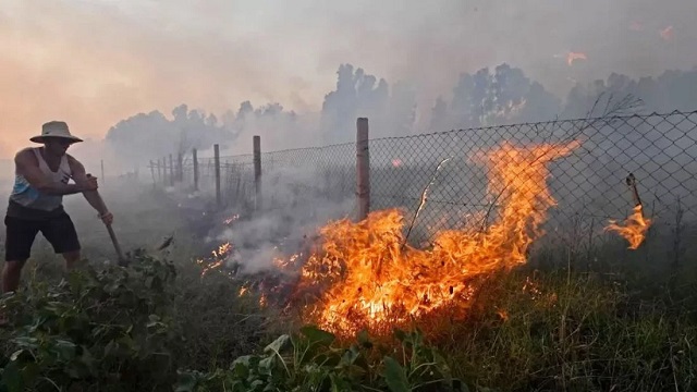 আলজেরিয়ায় ভয়াবহ দাবানল, নিহত ৩৪ 