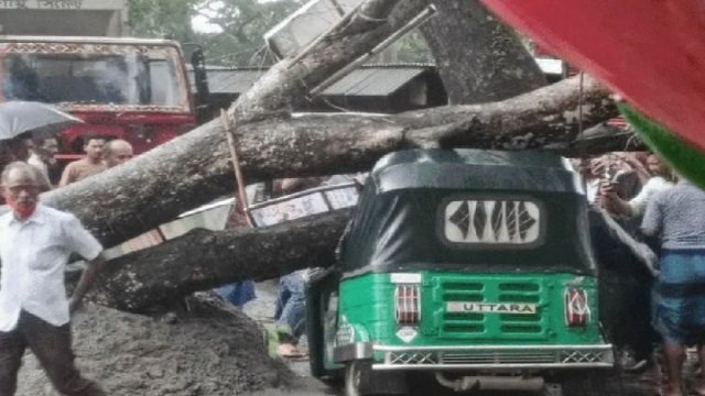 ঝড়ে গাছ পড়ে অটোচালক নিহত, হাসপাতালে ৪