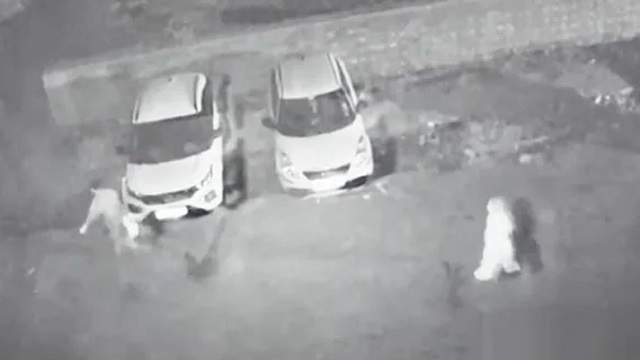 স্বামীকে ২২ টুকরো করে শহরের আশেপাশের অঞ্চলে ‘ছেটালেন’ স্ত্রী