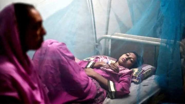 ডেঙ্গুতে গত ২৪ ঘণ্টায় আরও দুই জনের মৃত্যু