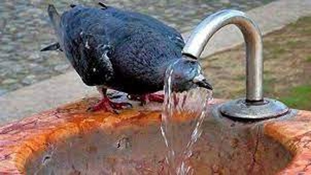 ঢাকাসহ ৫ বিভাগে মাঝারি দাবদাহ, বাড়বে গরম 