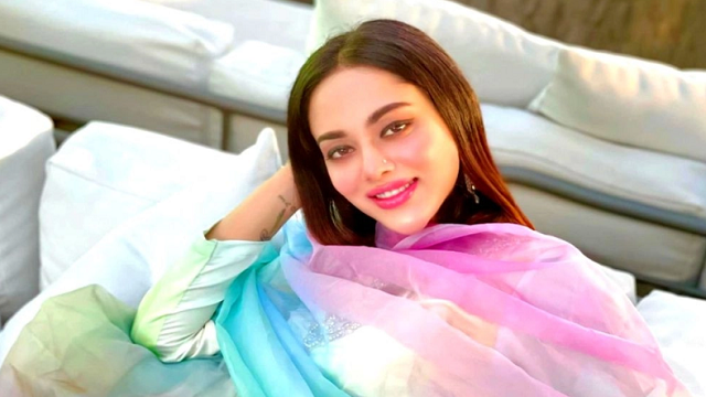 ওটিটিতে ‘অশ্লীলতা’ নিয়ে ভিন্ন মত তমার