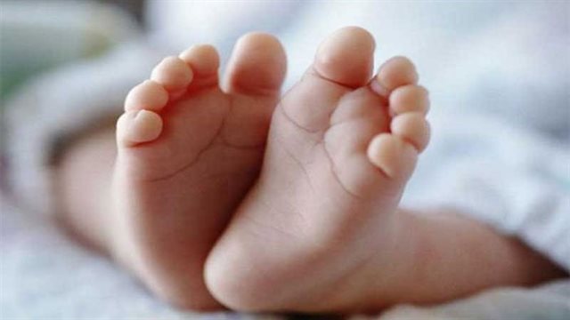 ঢাবির ডাস্টবিন থেকে নবজাতকের মরদেহ উদ্ধার 