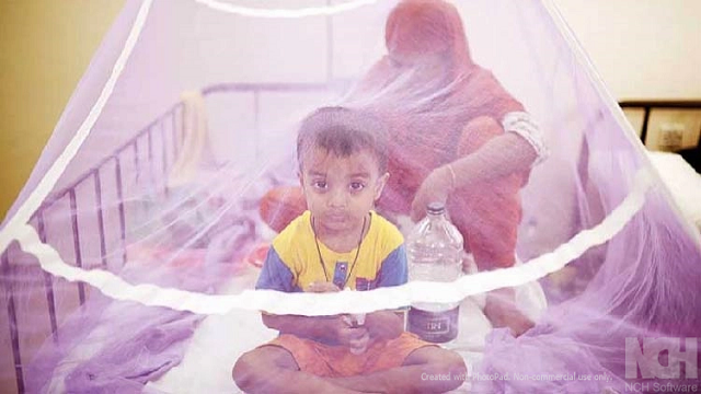 ডেঙ্গু কেড়ে নিল আরও ৩ জনের প্রাণ, একদিনে রেকর্ড ৪৮২ জন হাসপাতালে ভর্তি   