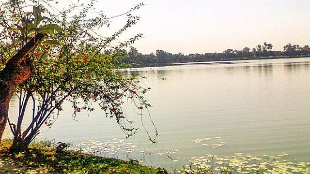 নীলসাগরে দেখা মিলছে না অতিথি পাখি