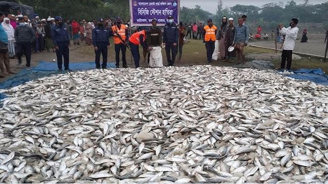 ১৭৫ মণ জাটকা জব্দ করে এতিমখানার শিক্ষার্থীদের দিল কোস্টগার্ড