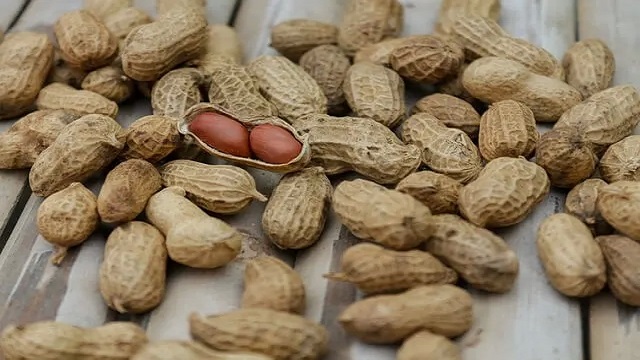 এক নজরে দেখে নিন বাদামের গুণাগুণ