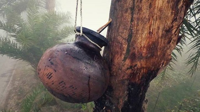 খেজুরের কাঁচা রস পানের ৩ দিন পর শিশুর মৃত্যু