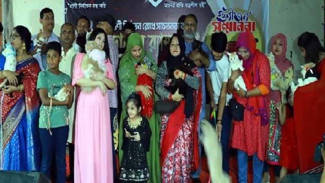কুমিল্লায় বিড়ালের র‌্যাম্প শো