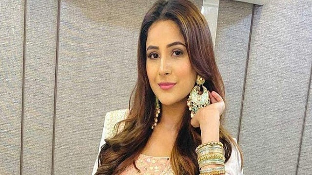 স্বপ্ন পূরণ করলেন শেহনাজ গিল