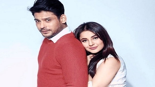 কাজে ফিরলেন শেহনাজ