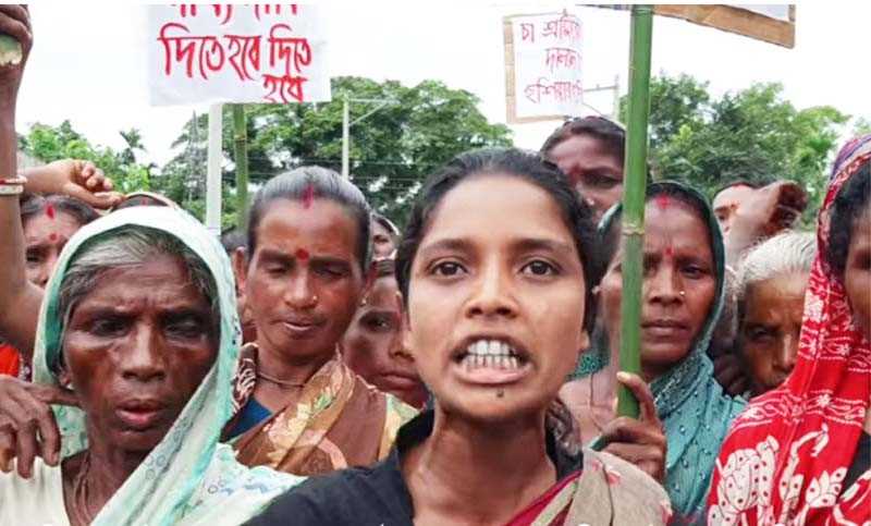 চা-শ্রমিকদের মজুরি বাড়ানোর দাবিতে সংহতি জানালেন ৪৫ বিশিষ্ট নাগরিক