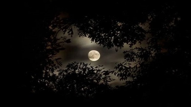 বছরের দীর্ঘতম রাত আজ