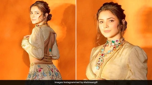 বলিউডে অভিষেকের আগেই নতুন প্রস্তাব পেলেন শেহনাজ গিল